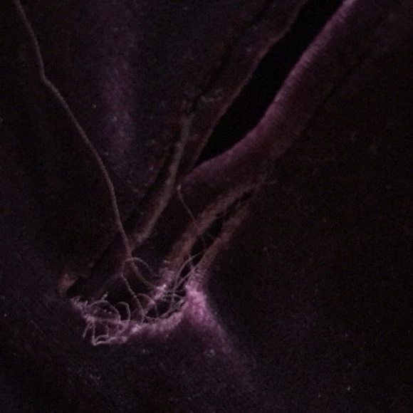 Adrieanne Vittadini purple velvet trousers in sz 2 - Picture 6 of 9